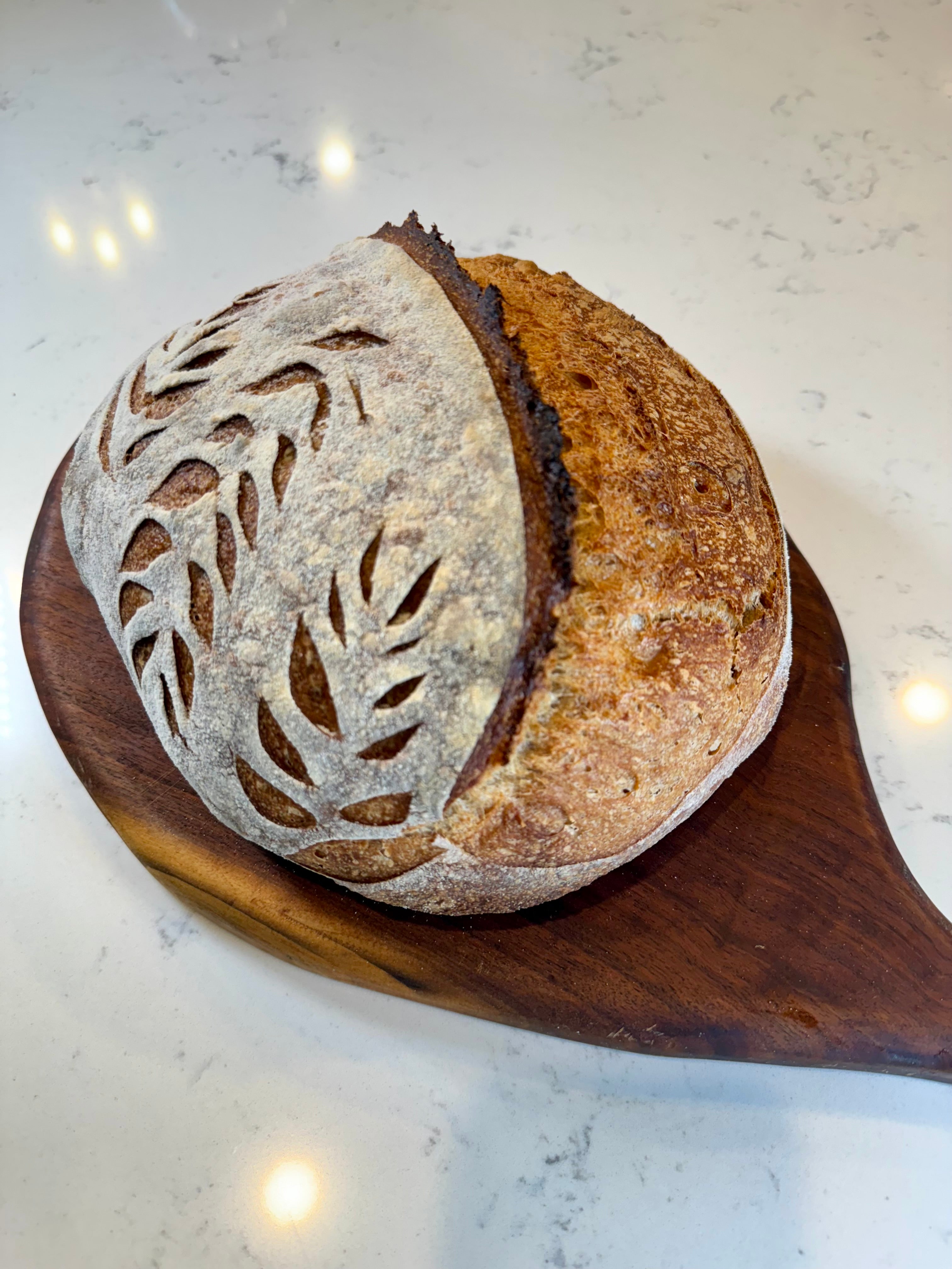 The Original Sourdough Bread – Dough Mama